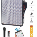 בידורית ProXtone AIR-100 קטנה ושובבה