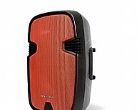 בידורית קריוקי Pure Acoustics PR-1815